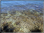 foto Isola di Krk